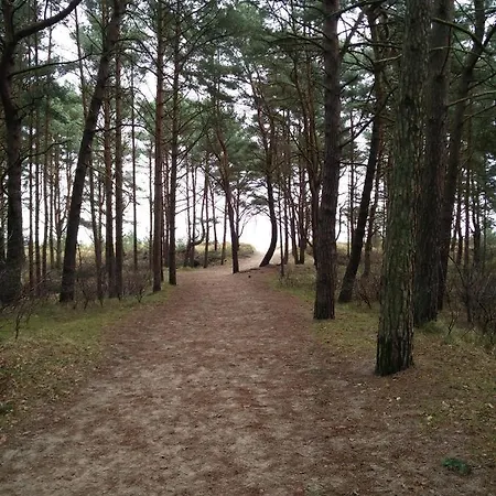 Am Kuestenwald Διαμέρισμα *