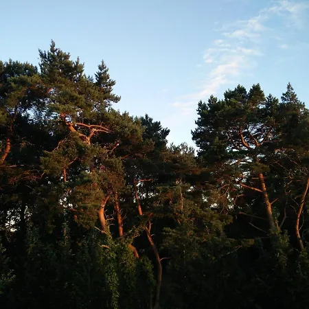 Am Kuestenwald Трассенхайде